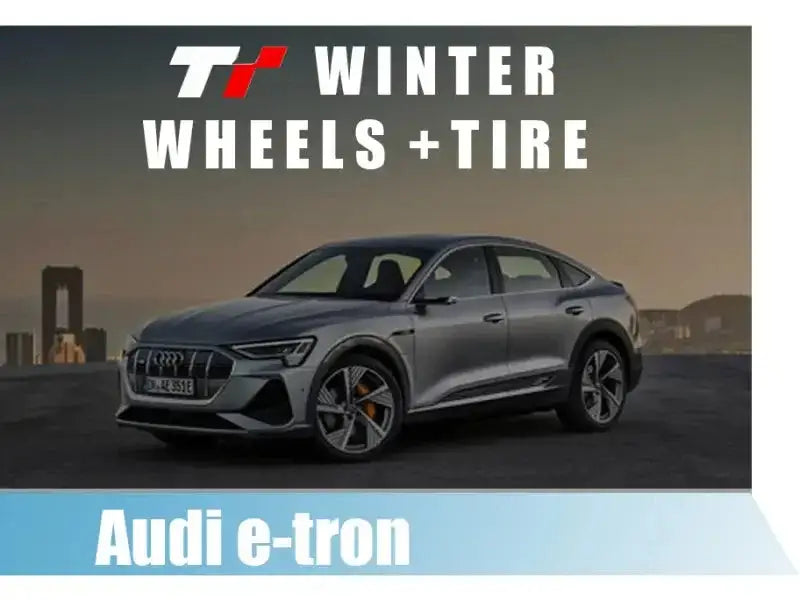 Audi e-tron Quattro Winter Tire & Wheel Package 2019-2023
