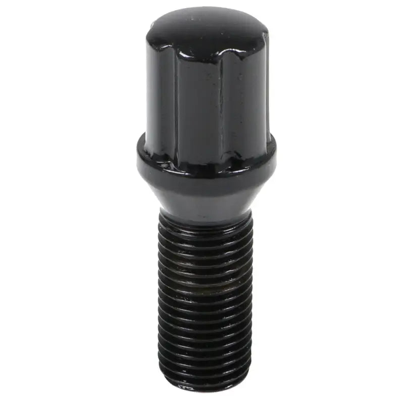 6 Spline Black Bolt 60° Seat-14x1.50mm-28mm Shank-19/21mm