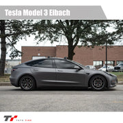 Eibach Model 3 Performance PRO-KIT Performance Springs (Set