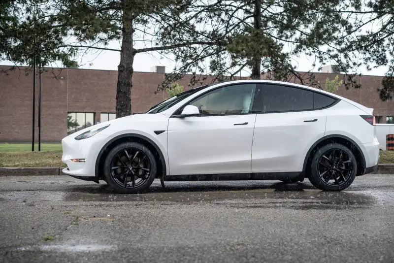 Model best sale y winter